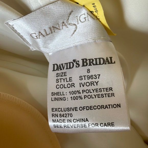GALINA SIGNATURE From David’s Bridal Wedding Dress - Picture 8 of 16